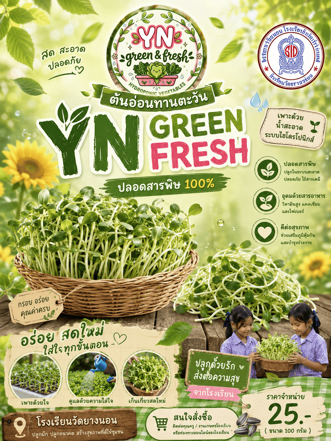 ต้นอ่อนทานตะวัน - YN GREEN FRESH